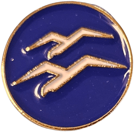 Gliding B badge metal pin product photo with two gulls