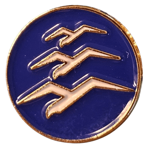 Gliding C badge metal pin product photo with three gulls