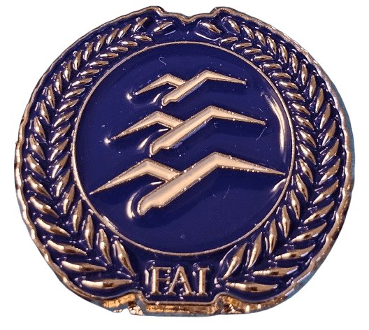 Gliding Silver badge metal pin product photo